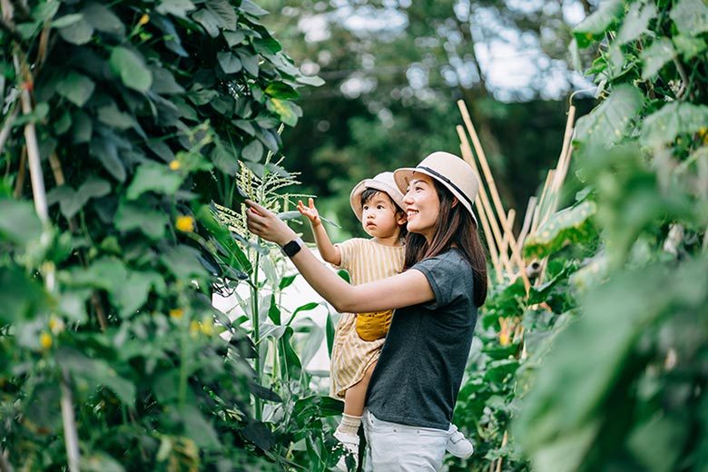 Photo of a mom holding an infant